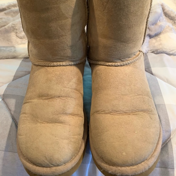 tan classic uggs